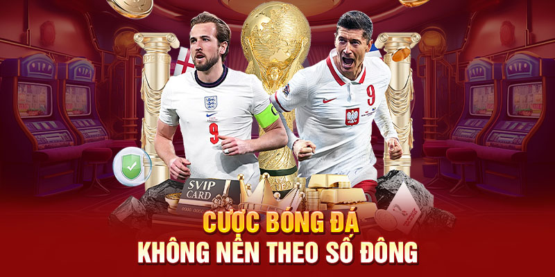 Cược bóng đá không nên theo số đông